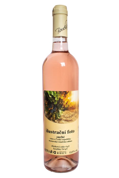 Frankovka rose 2023, zemské víno-0,75 l